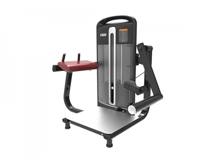 Máquina para extensión de glúteos TZ-4022
