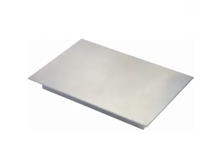 Placa magnética