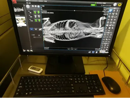 Equipo de Rayos X de Uso Veterinario, SHO-PX