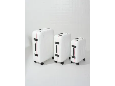 Maleta para facturar de 24