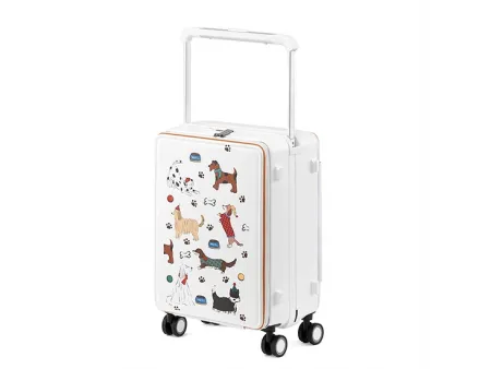 Maleta para facturar de 20