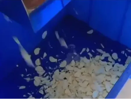 Cortadora de verduras en cubos (300-800 kg/h)