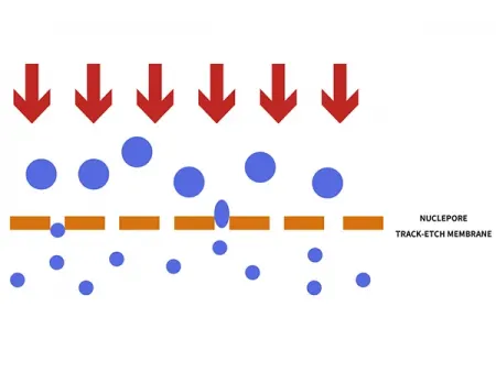 Extrusora de liposomas encamisada