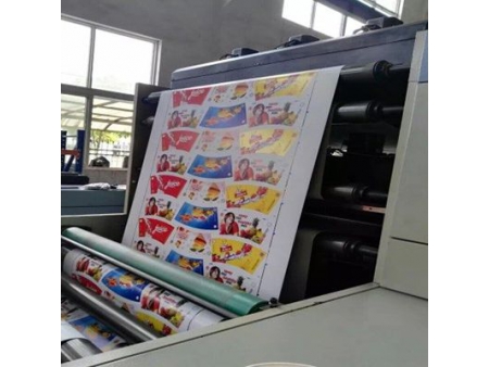 Impresora flexográfica (tipo pila), RY-1000