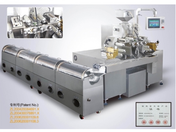 Encapsuladora de gelatina blanda RJWJ-200