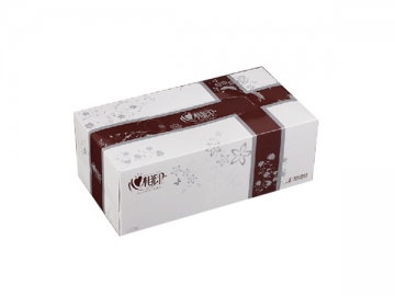 Envasadora de pañuelos desechables en caja CDH-236