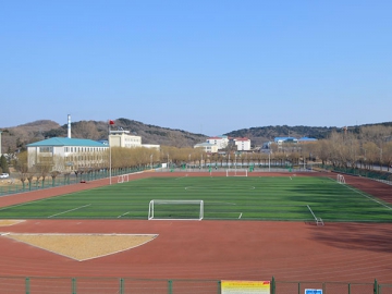 Césped sintético para fútbol