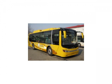 Autobuses
