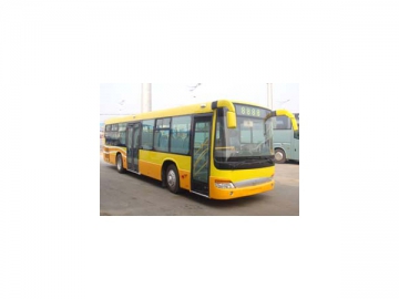 Autobuses